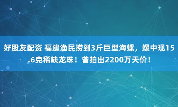 好股友配资 福建渔民捞到3斤巨型海螺，螺中现15.6克稀缺龙珠！曾拍出2200万天价！