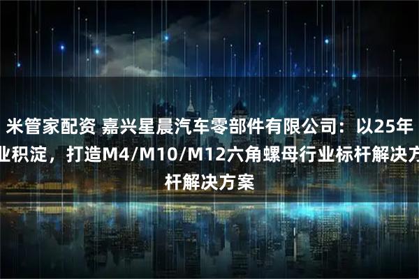 米管家配资 嘉兴星晨汽车零部件有限公司：以25年专业积淀，打造M4/M10/M12六角螺母行业标杆解决方案