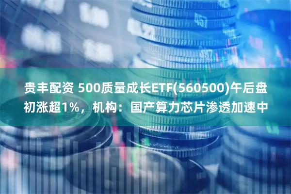 贵丰配资 500质量成长ETF(560500)午后盘初涨超1%，机构：国产算力芯片渗透加速中
