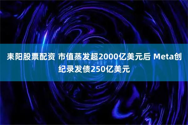 耒阳股票配资 市值蒸发超2000亿美元后 Meta创纪录发债250亿美元